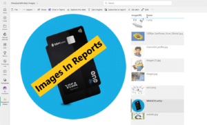 SharePoint Images IN REPORTS