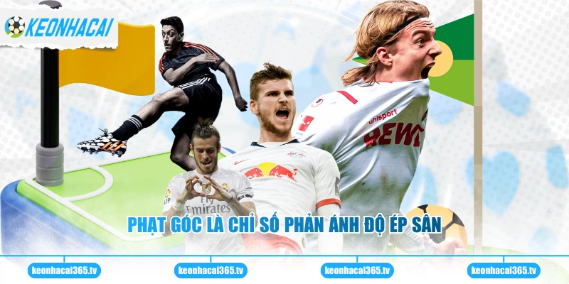 Livescore 2 Phạt góc là chỉ số phản ánh độ ép sân